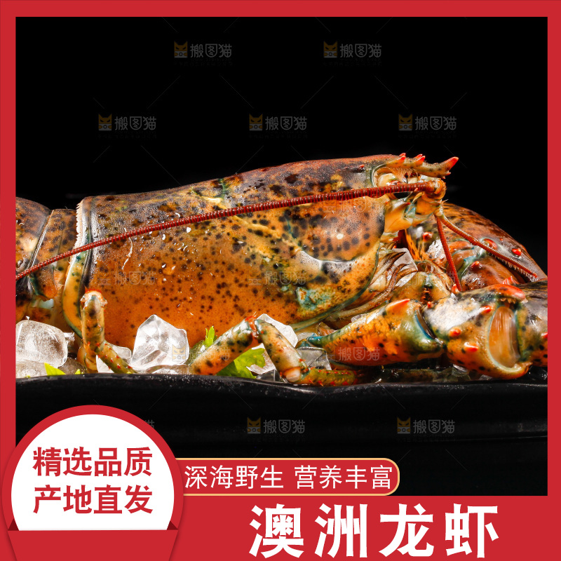 黑底上放着一盘大龙虾