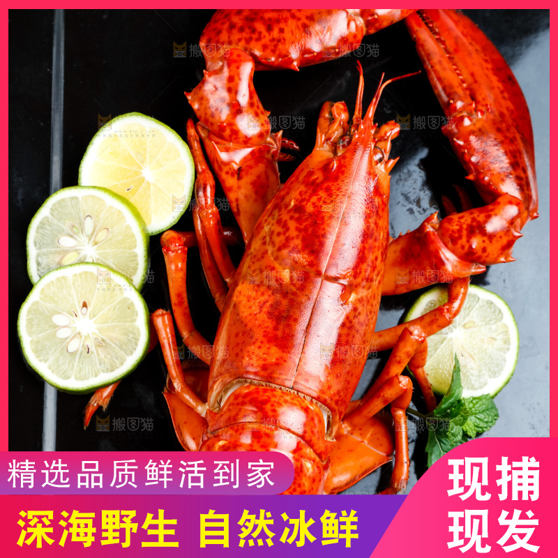 盘子里装着澳洲大龙虾
