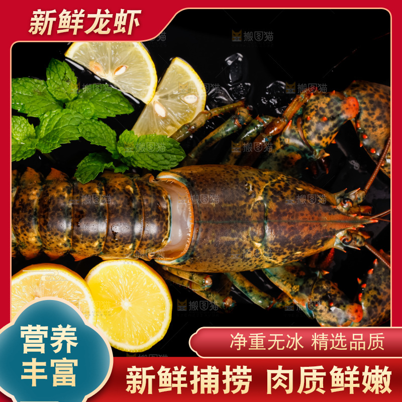 黑底上放着波士顿龙虾