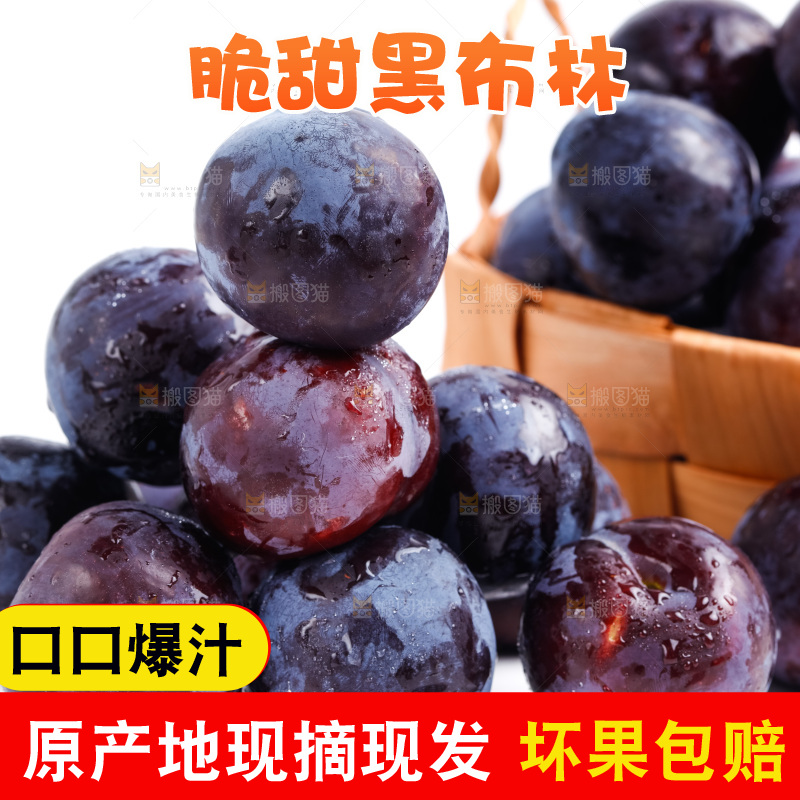 白底上放着陕西黑布林