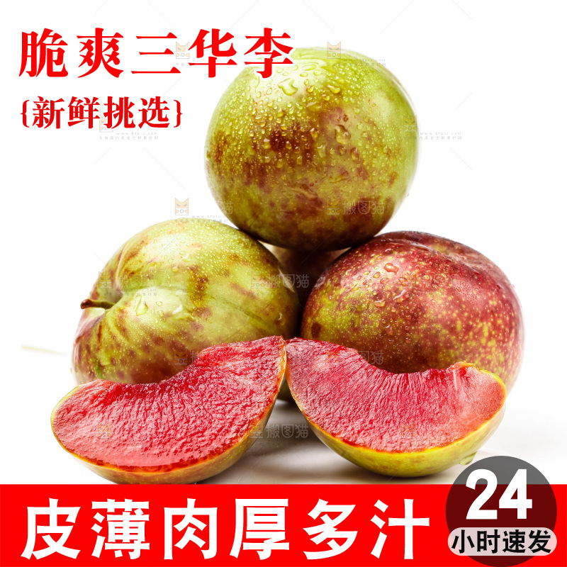 白底上的三华李
