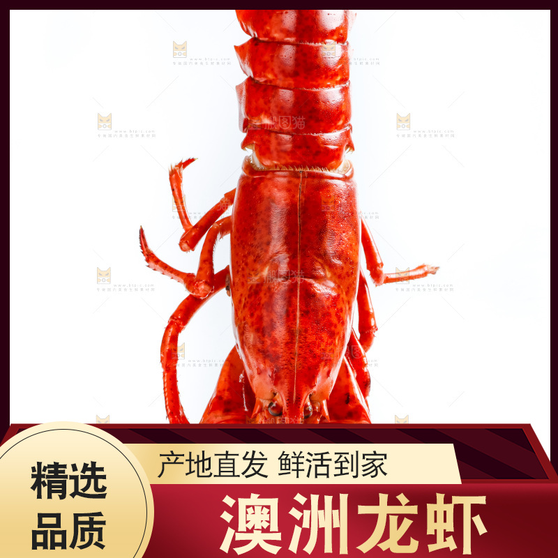 手拿波士顿大龙虾