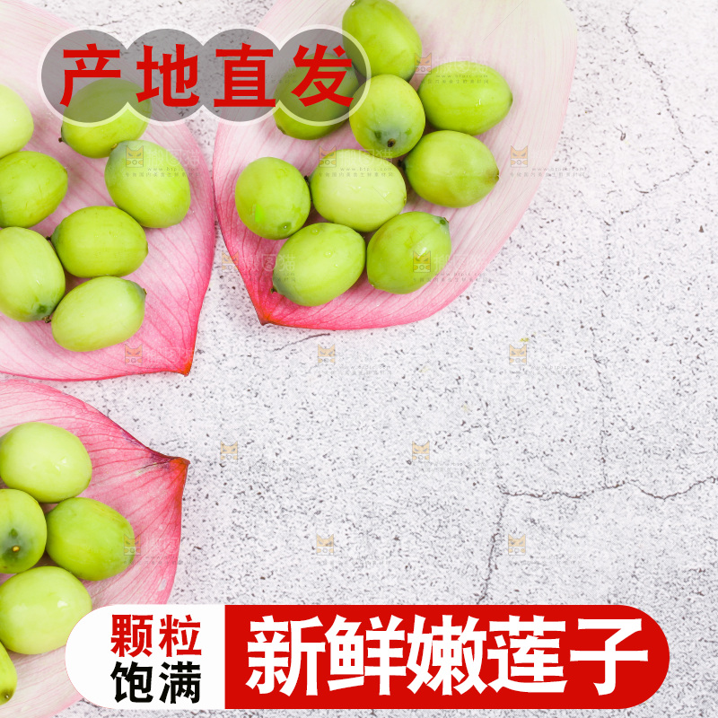 石板上的新鲜莲子