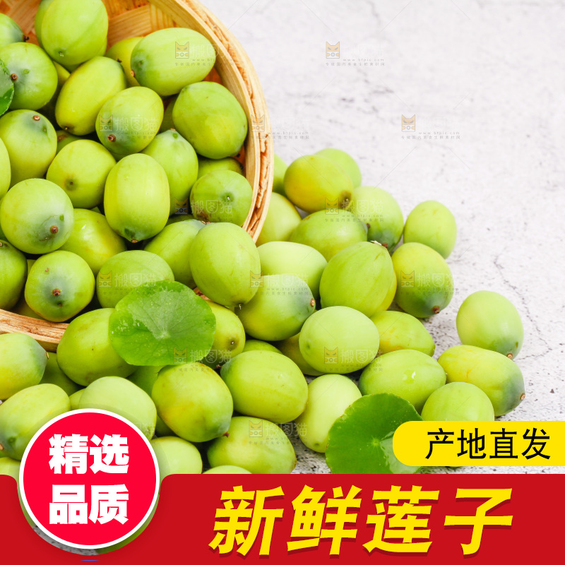 石板上的新鲜莲子