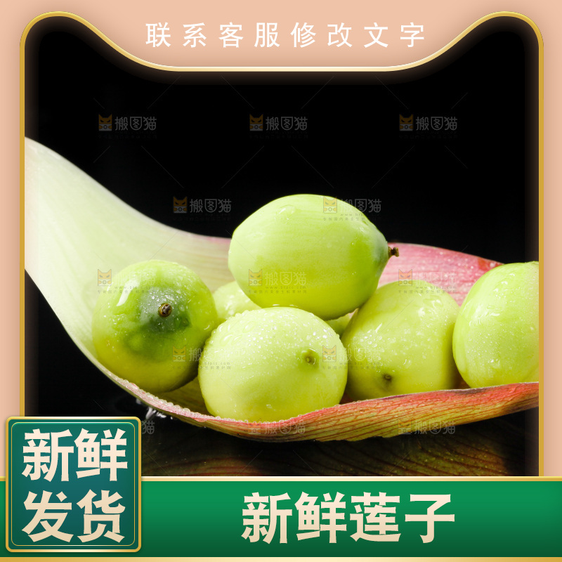 黑底上放着新鲜莲子