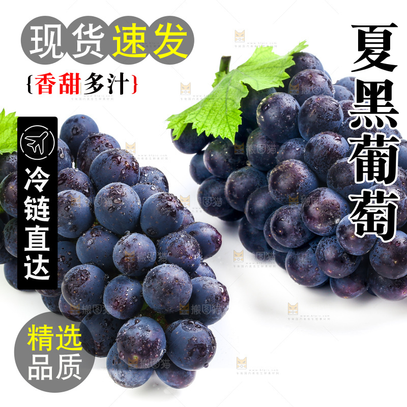 白底上的夏黑葡萄