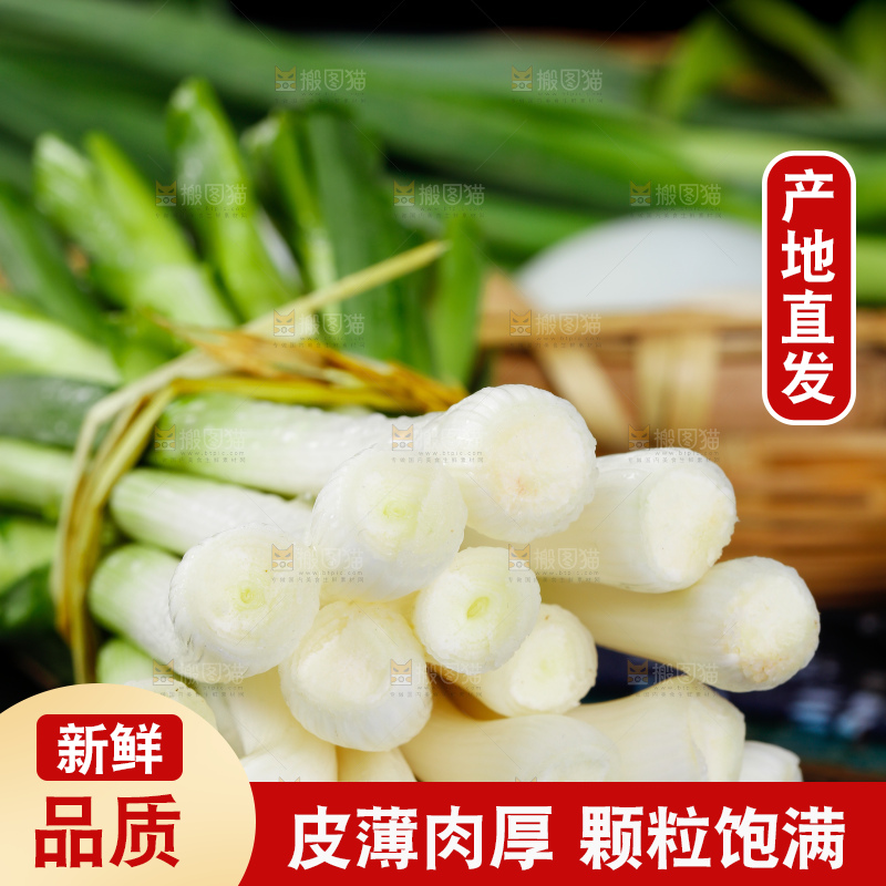 深底上的蒜苗