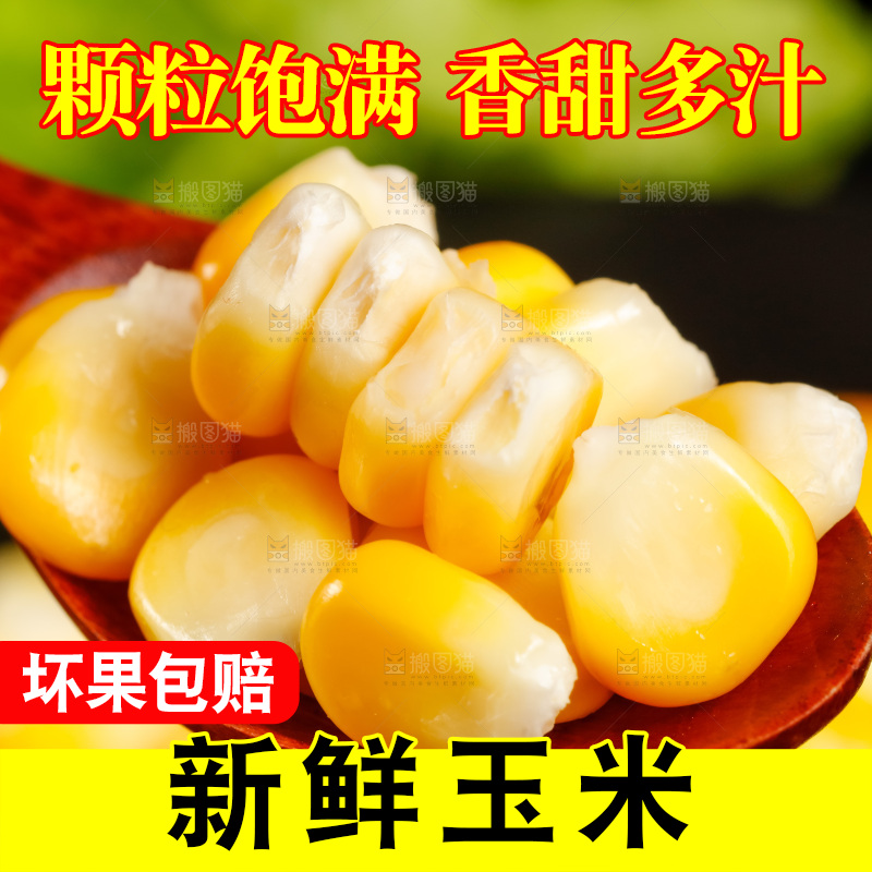 深底上的东北玉米