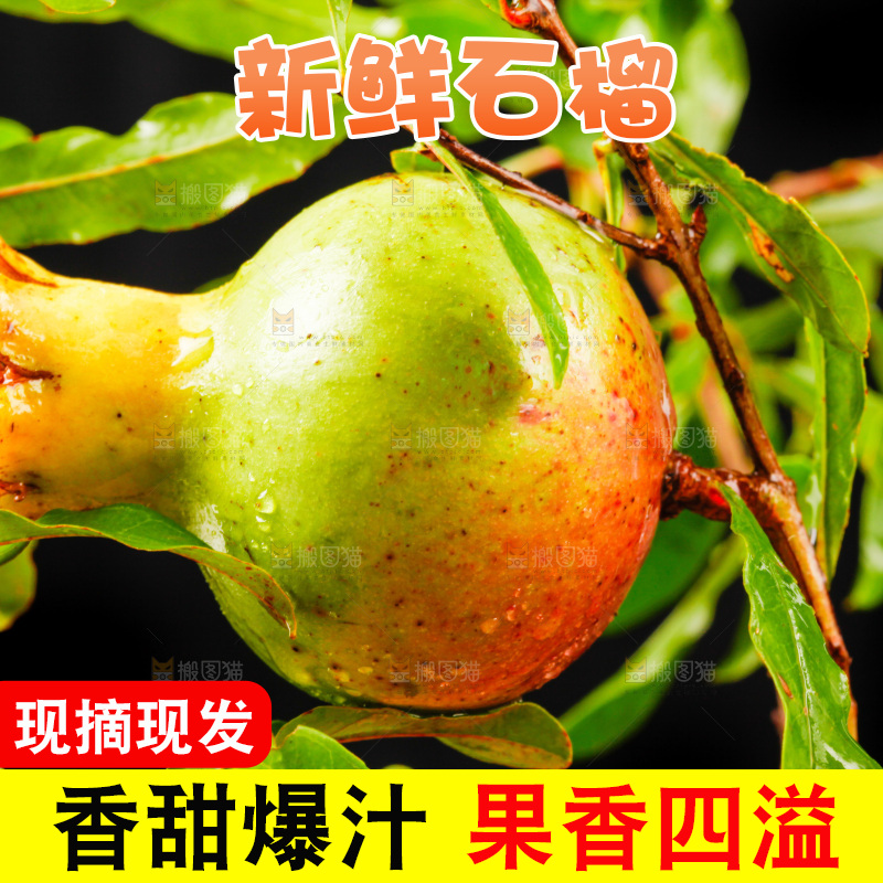 黑底上放着软籽石榴