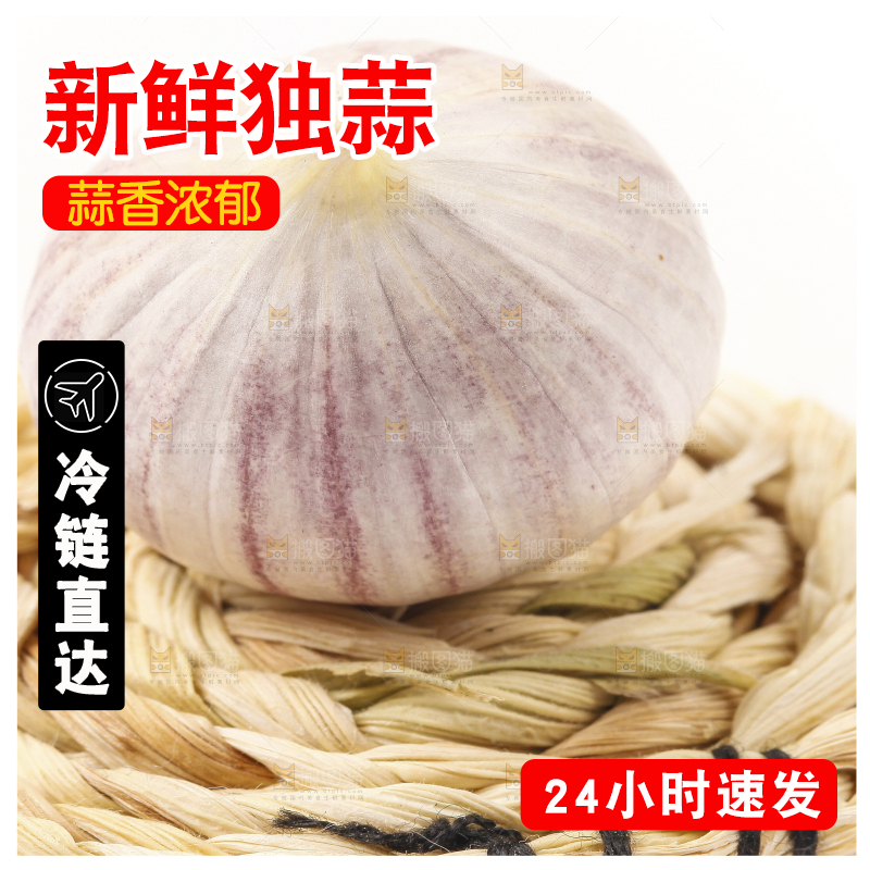 浅底上的独蒜