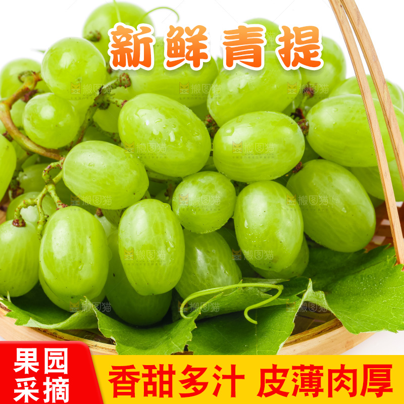 白底上放着一筐维多利亚青提