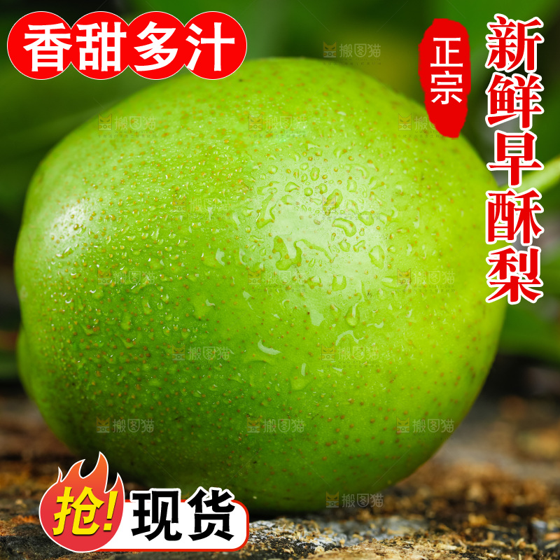 木底上放着陕西早酥梨