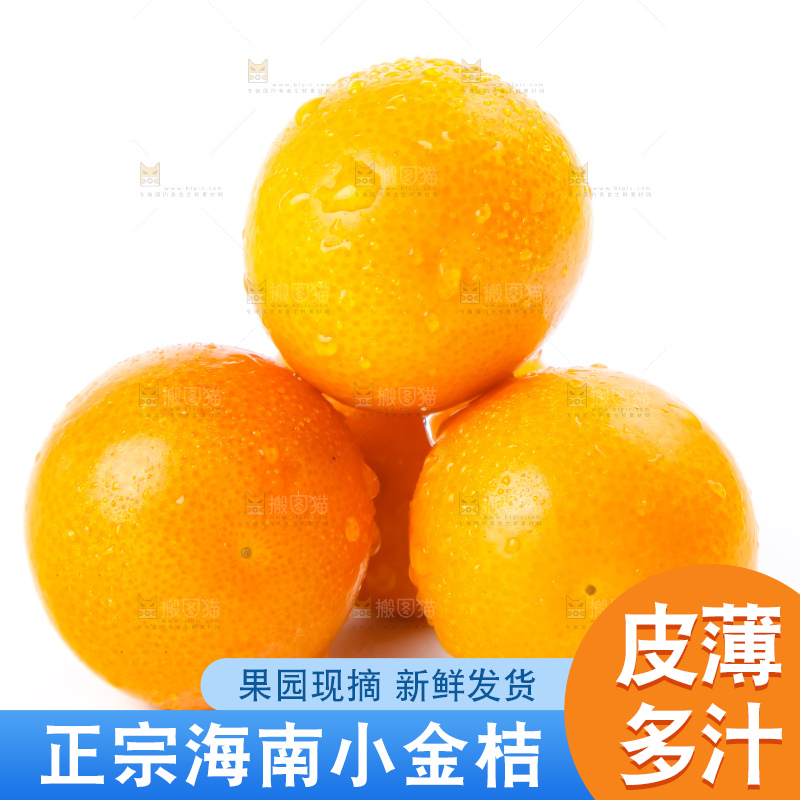 白底上摆放着阳朔金桔