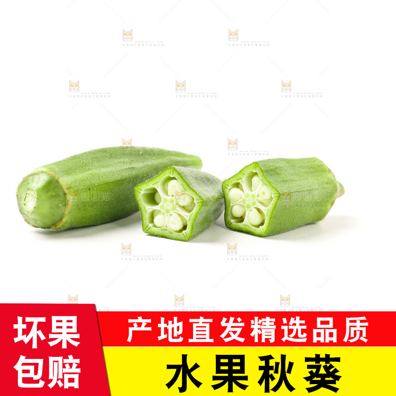 白底上的新鲜秋葵