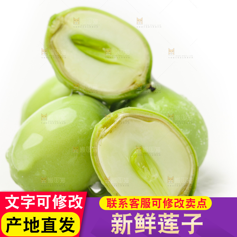 白底上的新鲜莲子