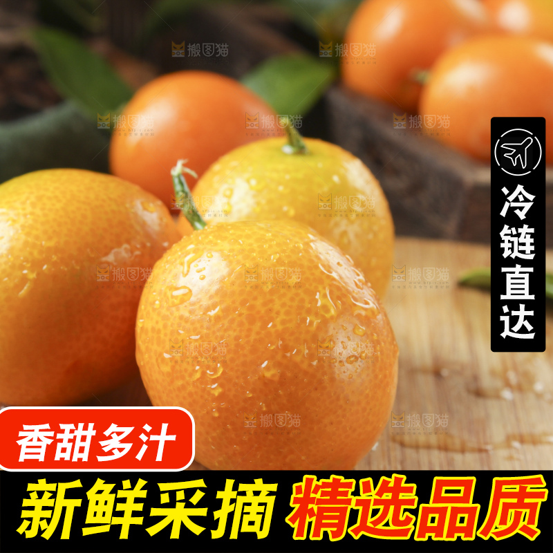 木板上摆放着广西金钱橘