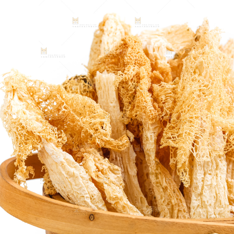 白底上的竹荪
