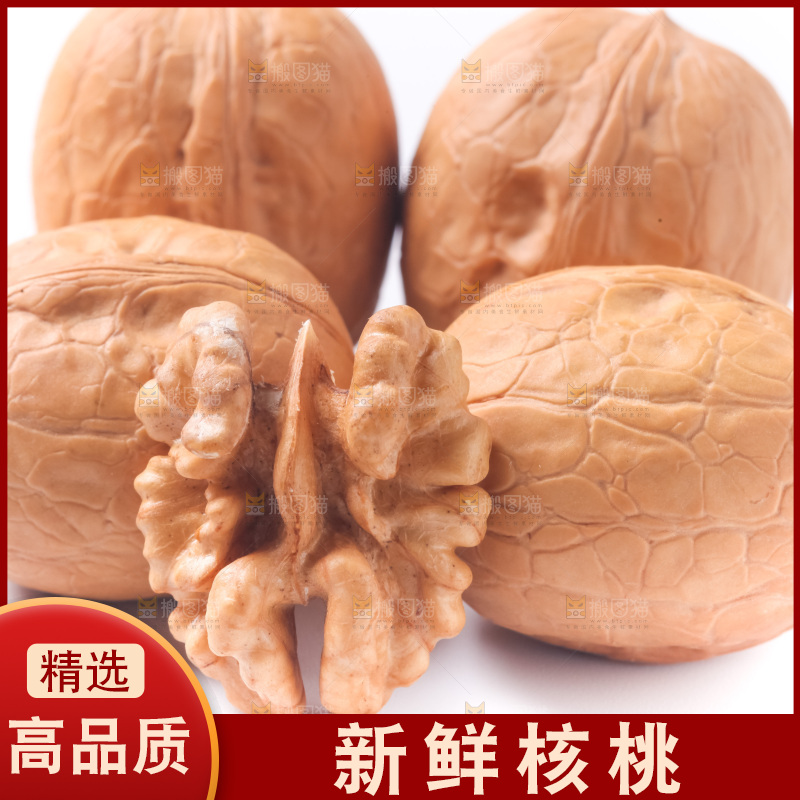 白底上的新疆核桃