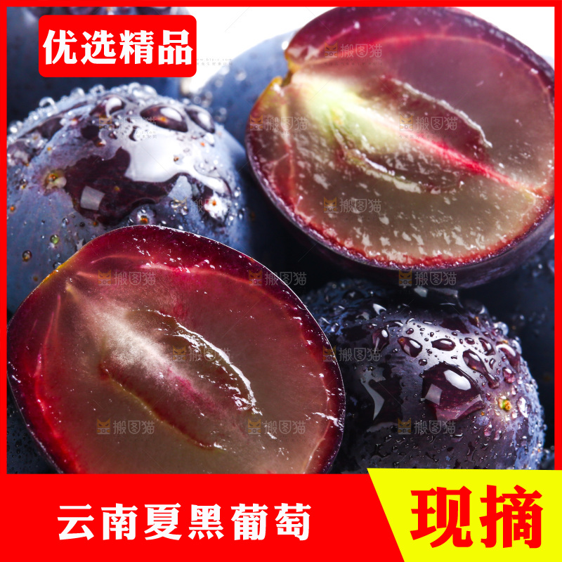 新鲜夏黑葡萄放在白底上