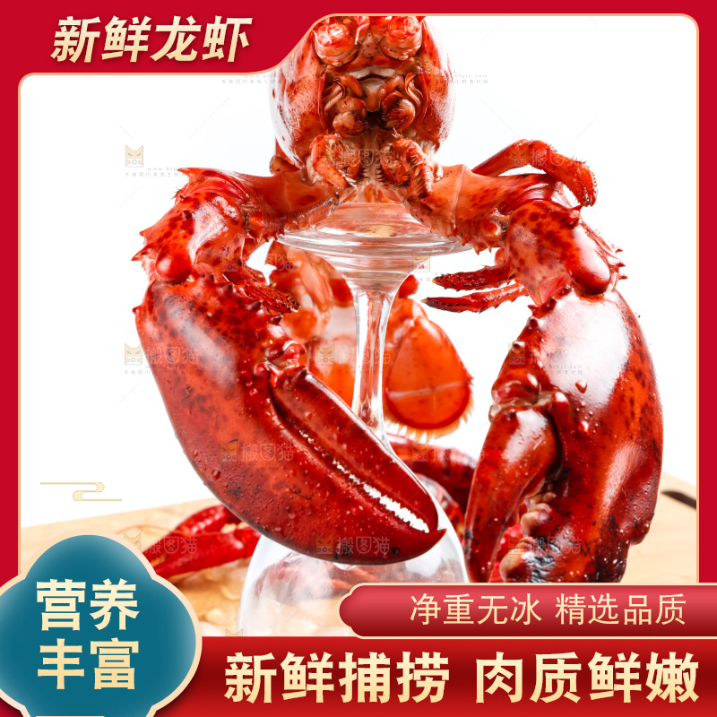 浅底上放着波士顿大龙虾