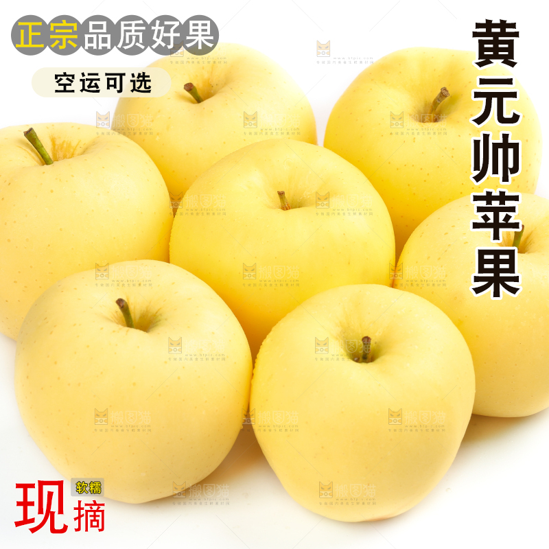 白底上摆放着黄金帅