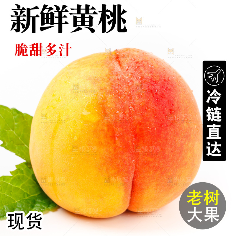 白底上的黄桃