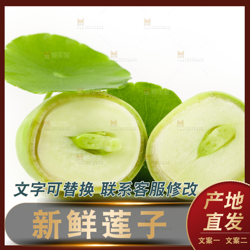 白底上放着湖北新鲜嫩莲子