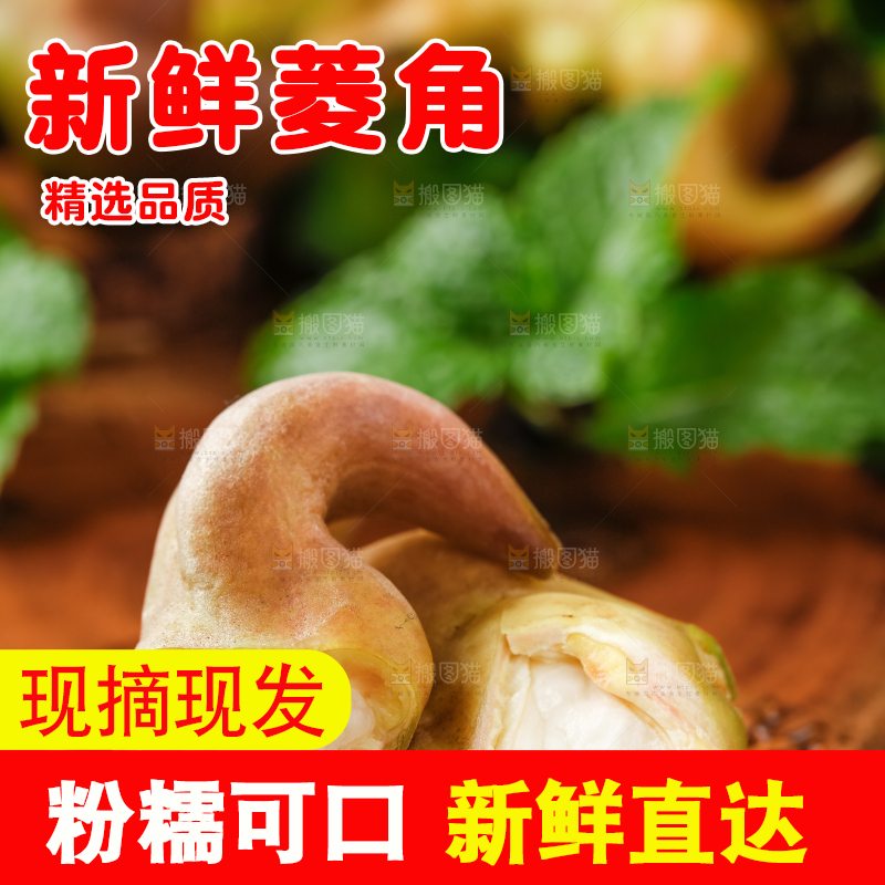 木底上的菱角