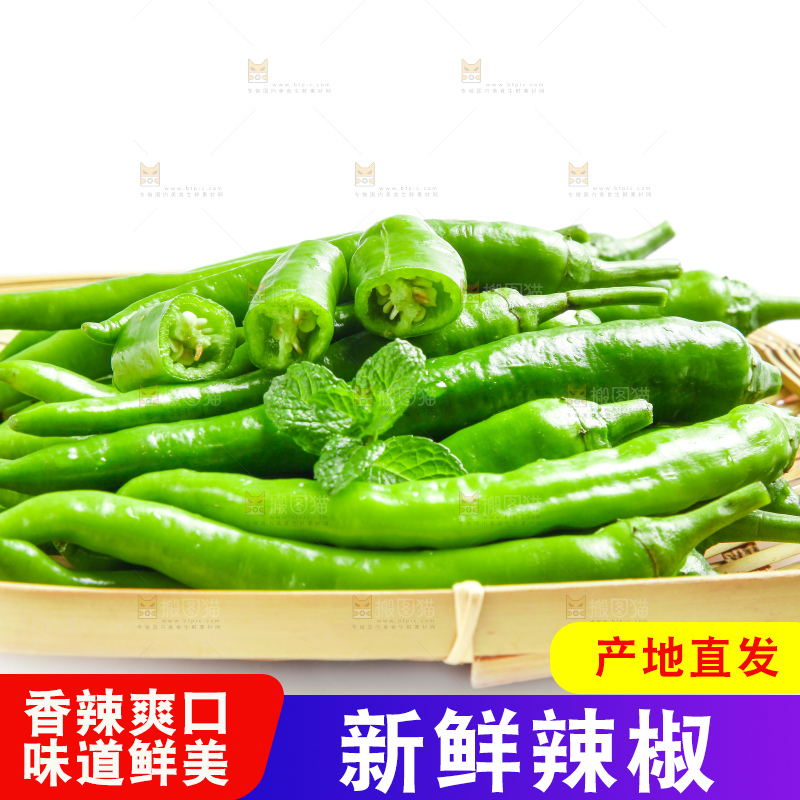 白底上摆放着新鲜杭椒