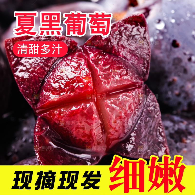 云南夏黑葡萄放在白底上