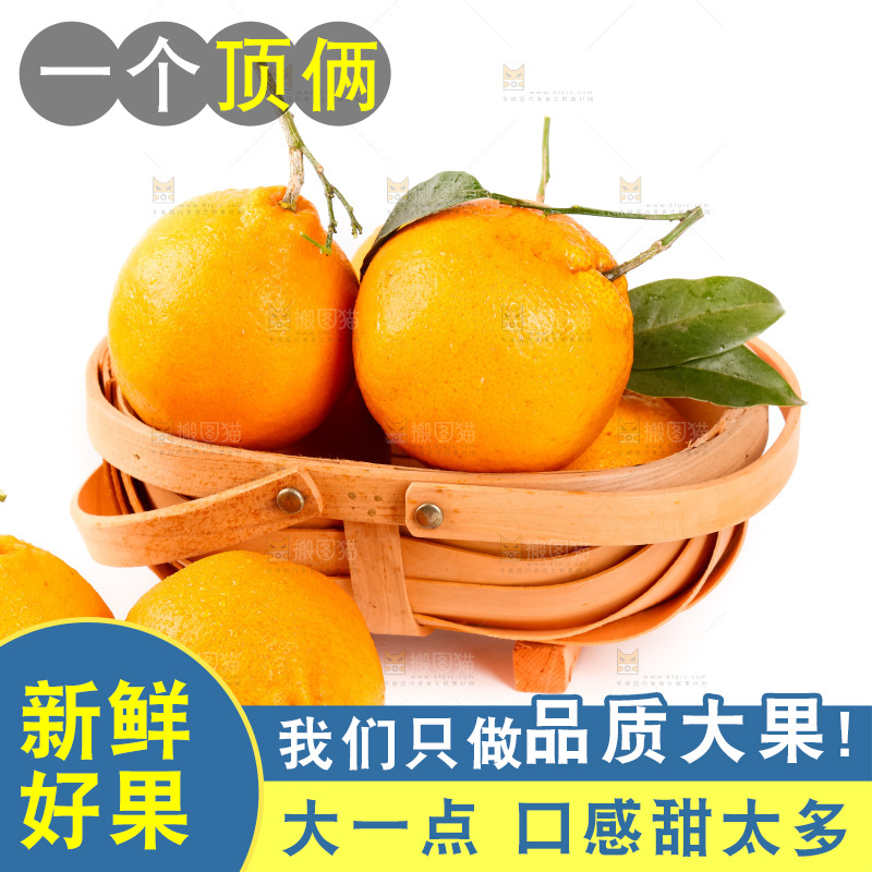 白底上的春见耙耙柑