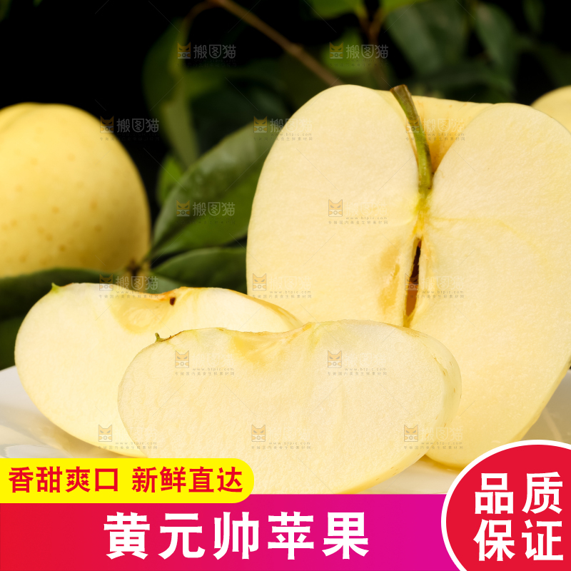 盘子里装着天水黄元帅苹果