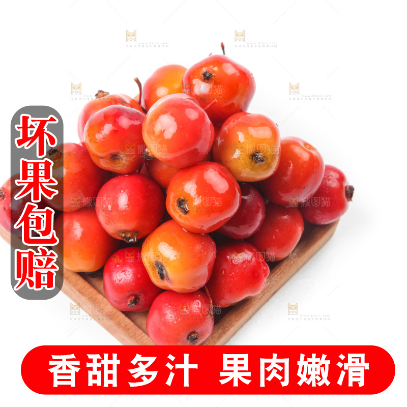 白底上的东北海棠果