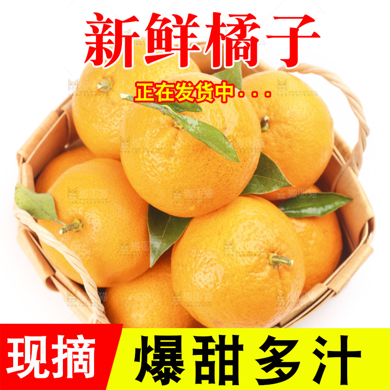 篮子里装着丑橘