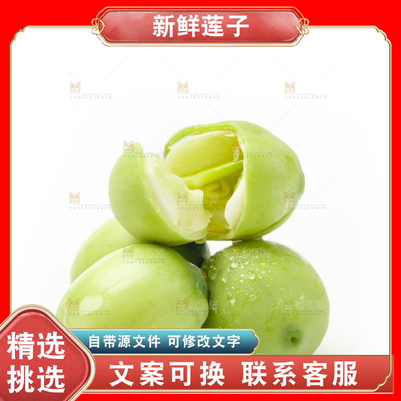 白底上的新鲜莲子