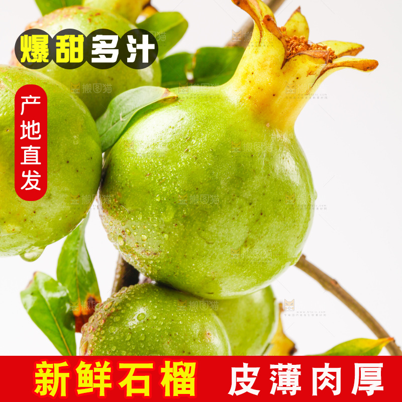 软籽石榴放在白底上