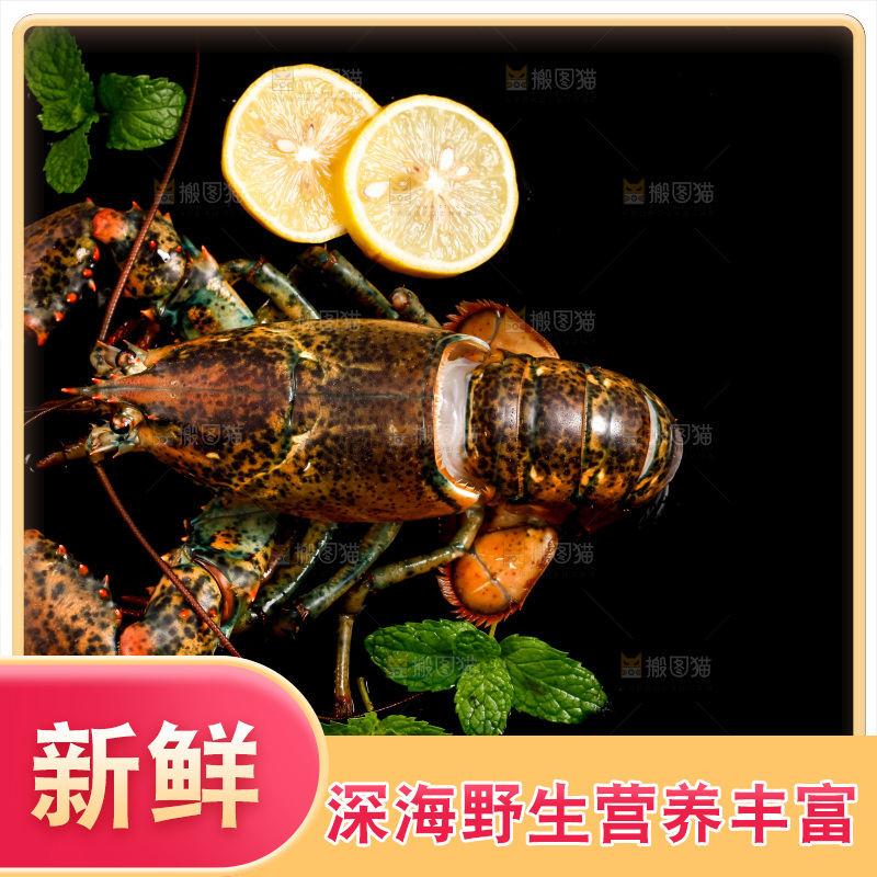 深底上放着澳洲龙虾