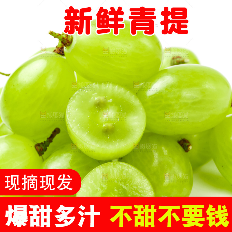 白底上的青提