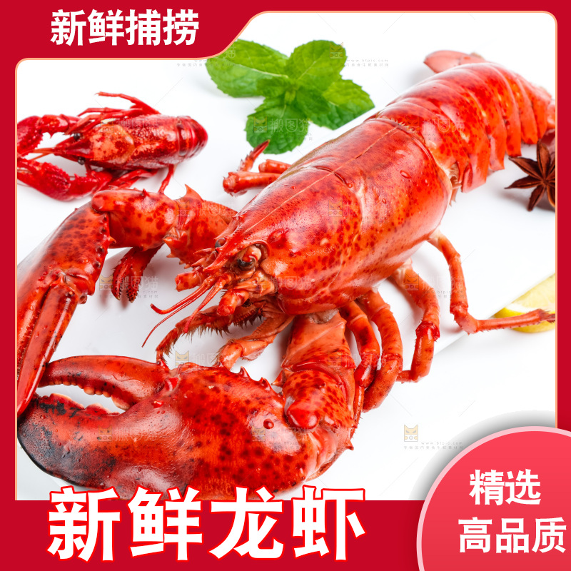 白底上放着大龙虾