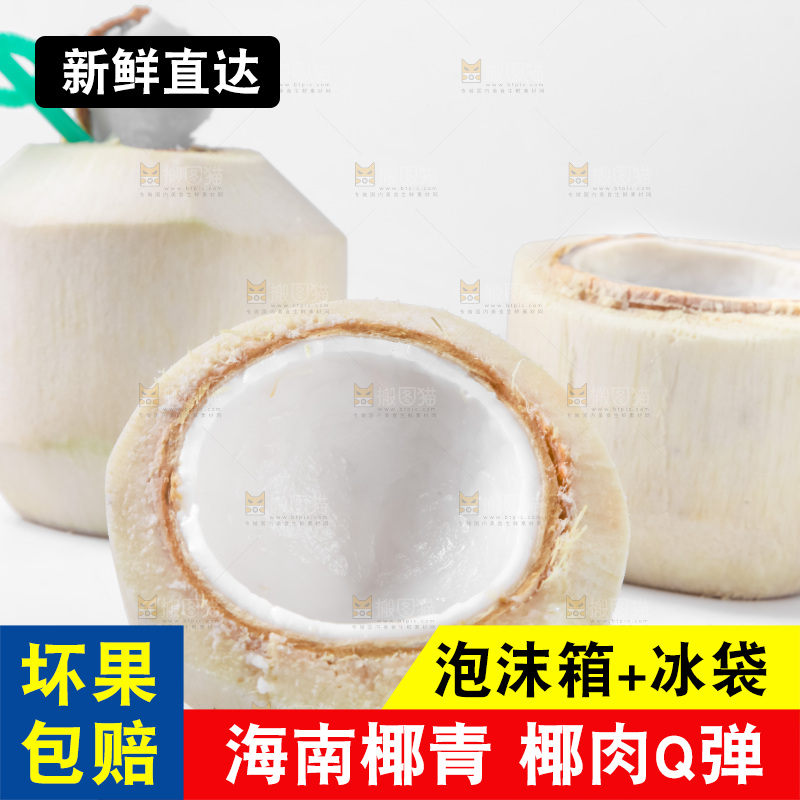 白底上青椰子