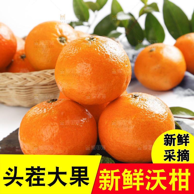 石板上的沃柑