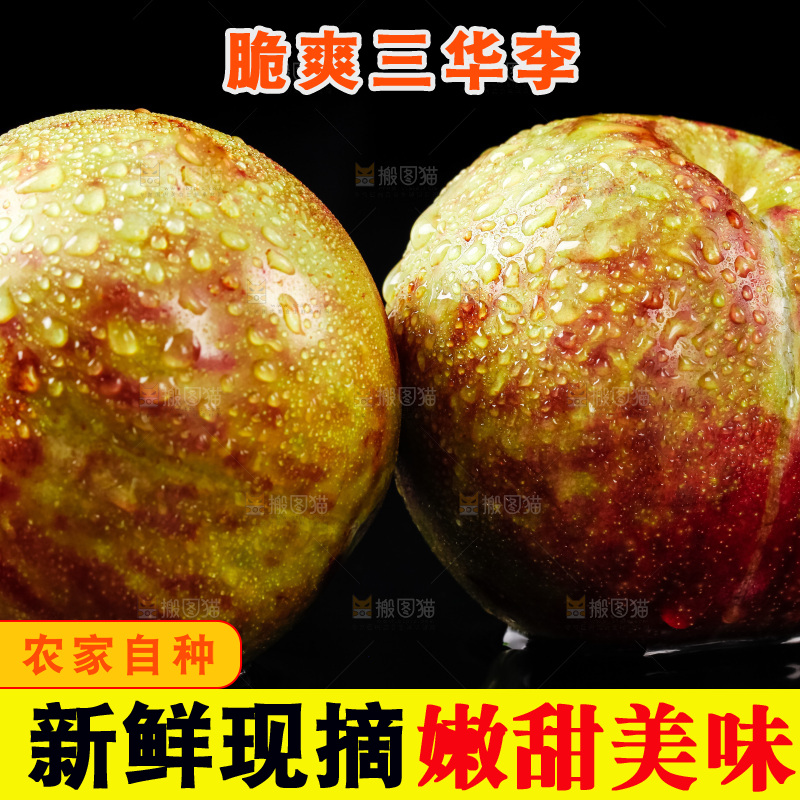 黑底上放着新鲜三华李