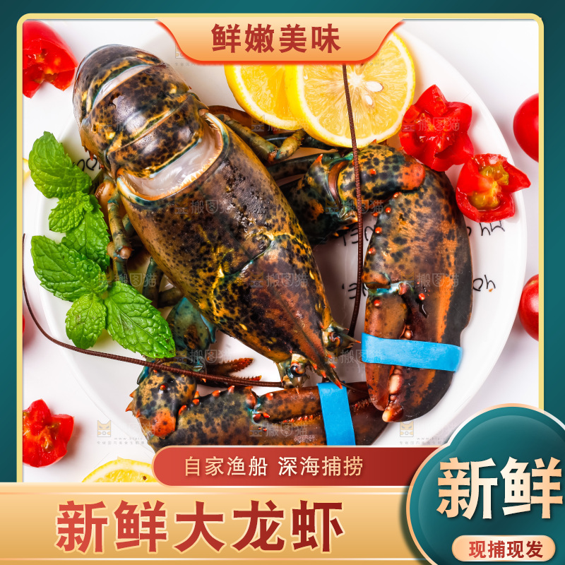白底上放着一盘龙虾