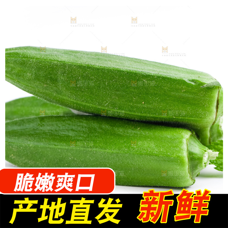 白底上的新鲜秋葵