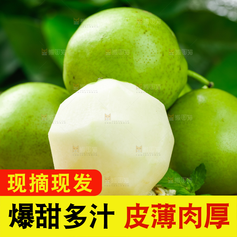 浅底上放着早酥梨