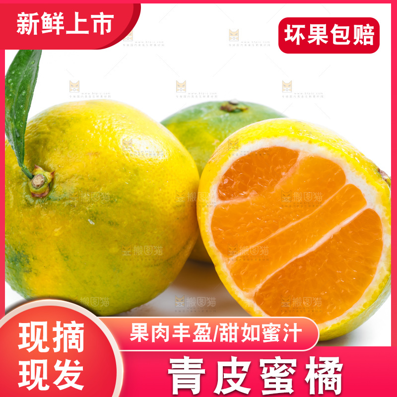 新鲜的青皮蜜橘放在白底上