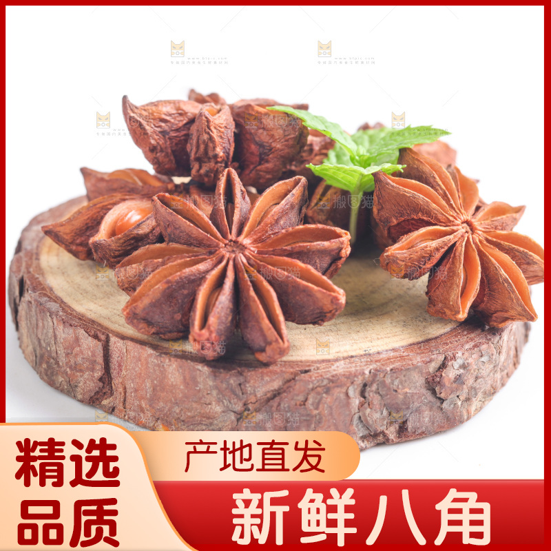 广西八角放在白底上