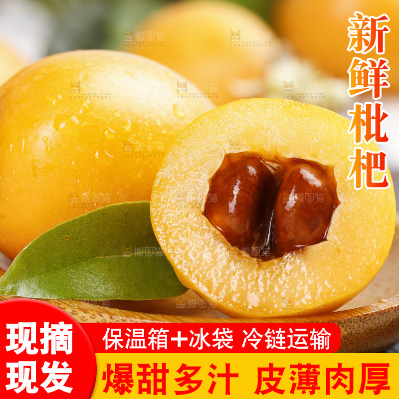 石板上的云南蒙自枇杷