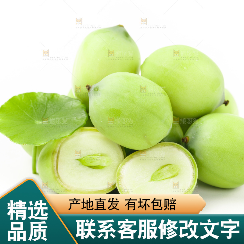 白底上放着湖北新鲜嫩莲子