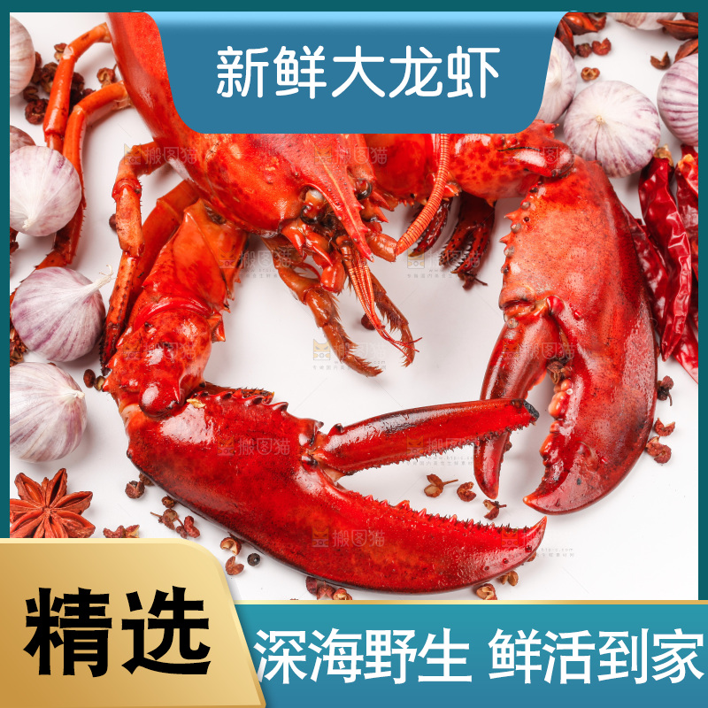 白底上放着波士顿大龙虾